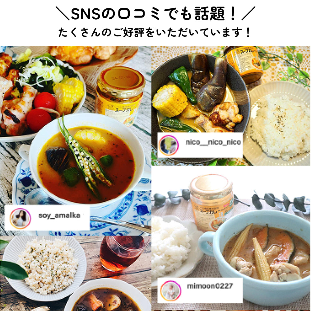 スープカレーの作り方 マイルド 180g